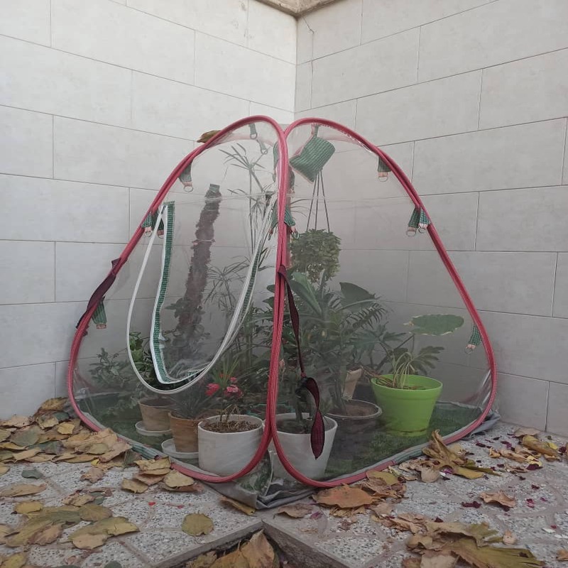 گلخانه خانگی 2×2 درجه یک