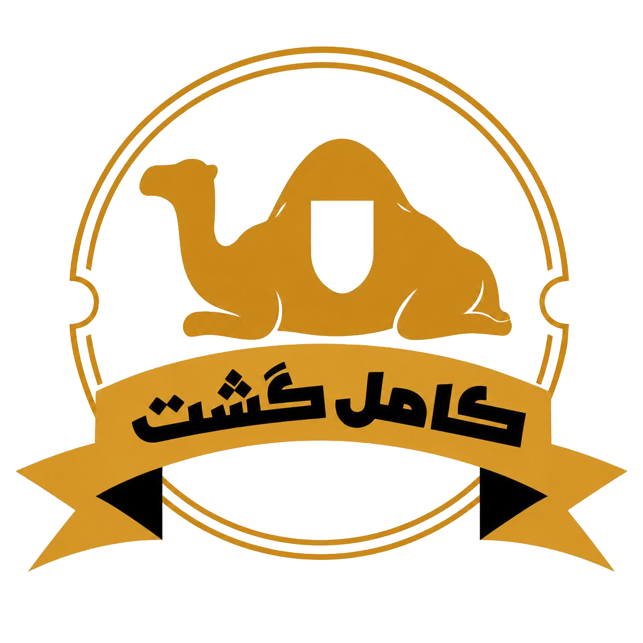 آرش تکنیک